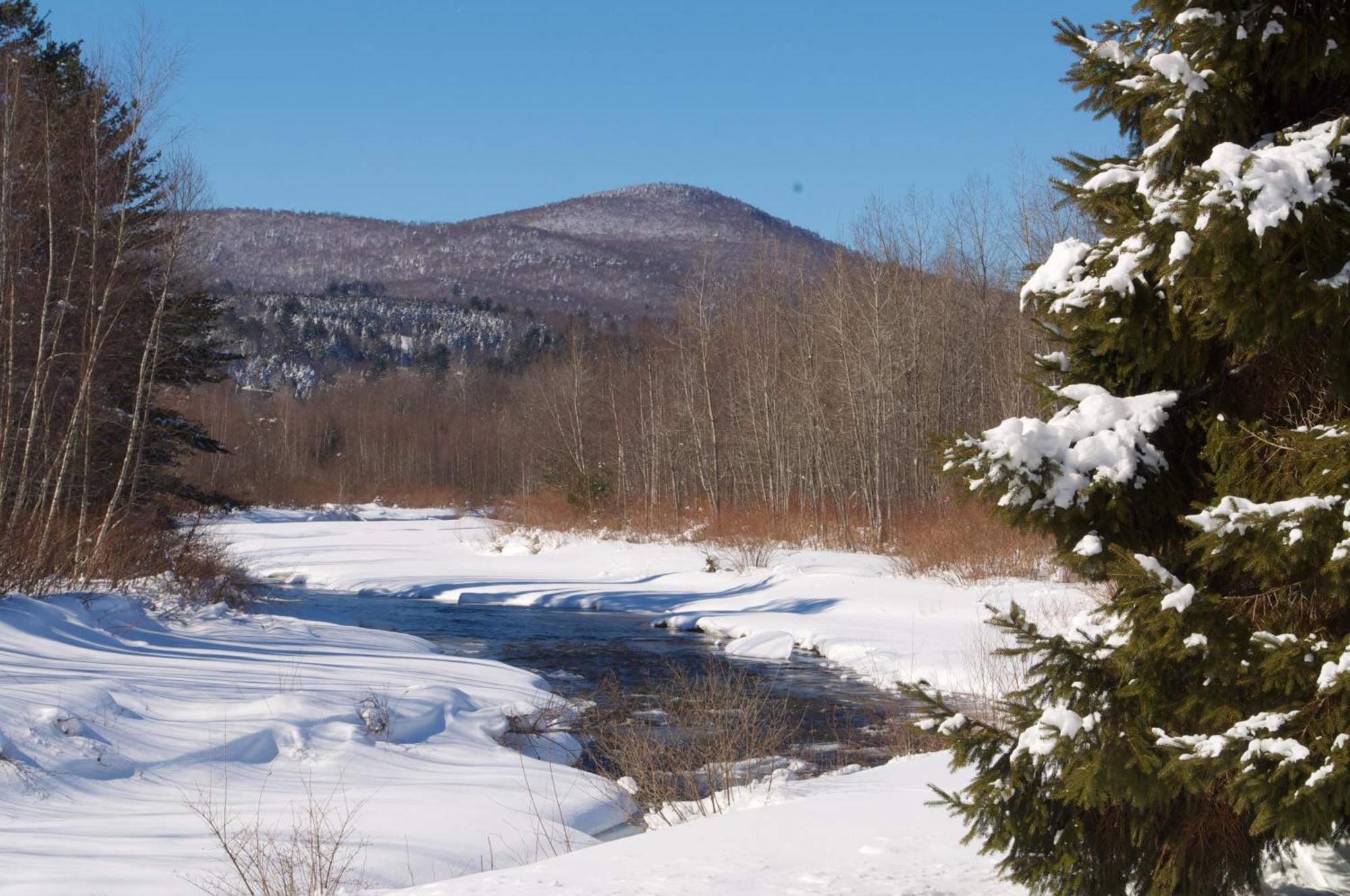 Sun&Ski Inn&Suites Stowe Bagian luar foto